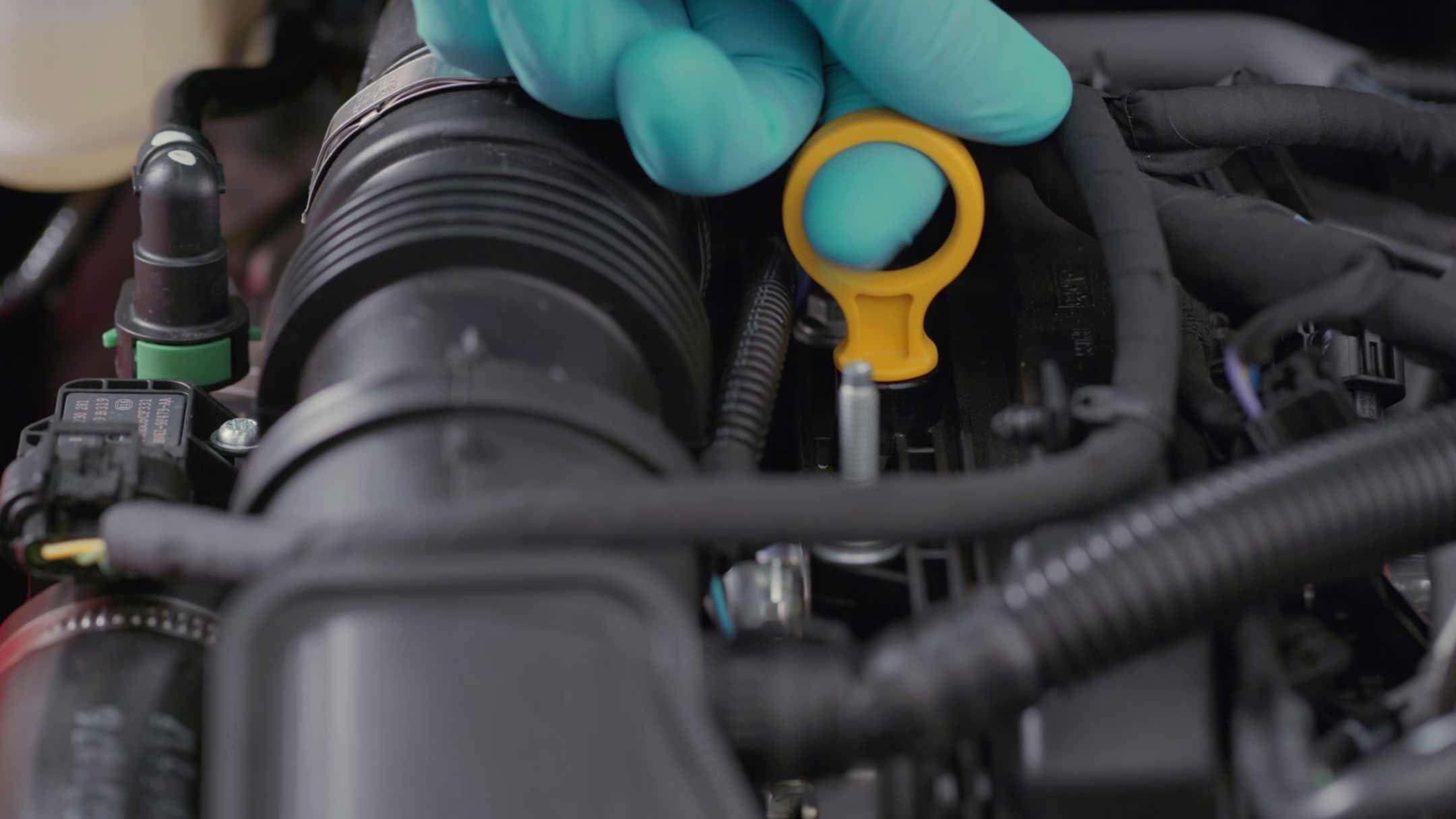 How to check & top up your oil level